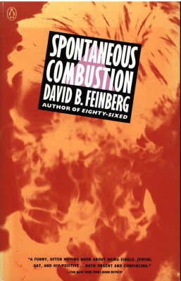 SPONTANEOUS COMBUSTION von DAVID B. FEINBERG