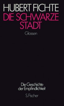 DIE SCHWARZE STADT von HUBERT FICHTE