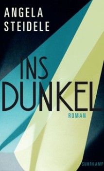 INS DUNKEL von ANGELA STEIDELE