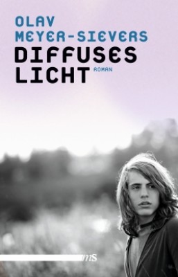DIFFUSES LICHT von OLAV MEYER-SIEVERS