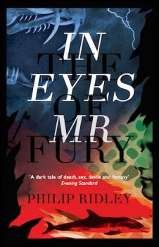 IN THE EYES OF MR. FURY von PHILIP RIDLEY