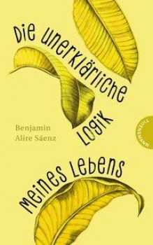 DIE UNERKLÄRLICHE LOGIK MEINES LEBENS von BENJAMIN ALIRE SÁENZ