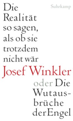 DIE REALITÄT SO SAGEN, ALS OB SIE TROTZDEM NICHT WÄR von JOSEF WINKLER