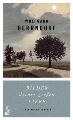 BILDER DEINER GROSSEN LIEBE von WOLFGANG HERRNDORF